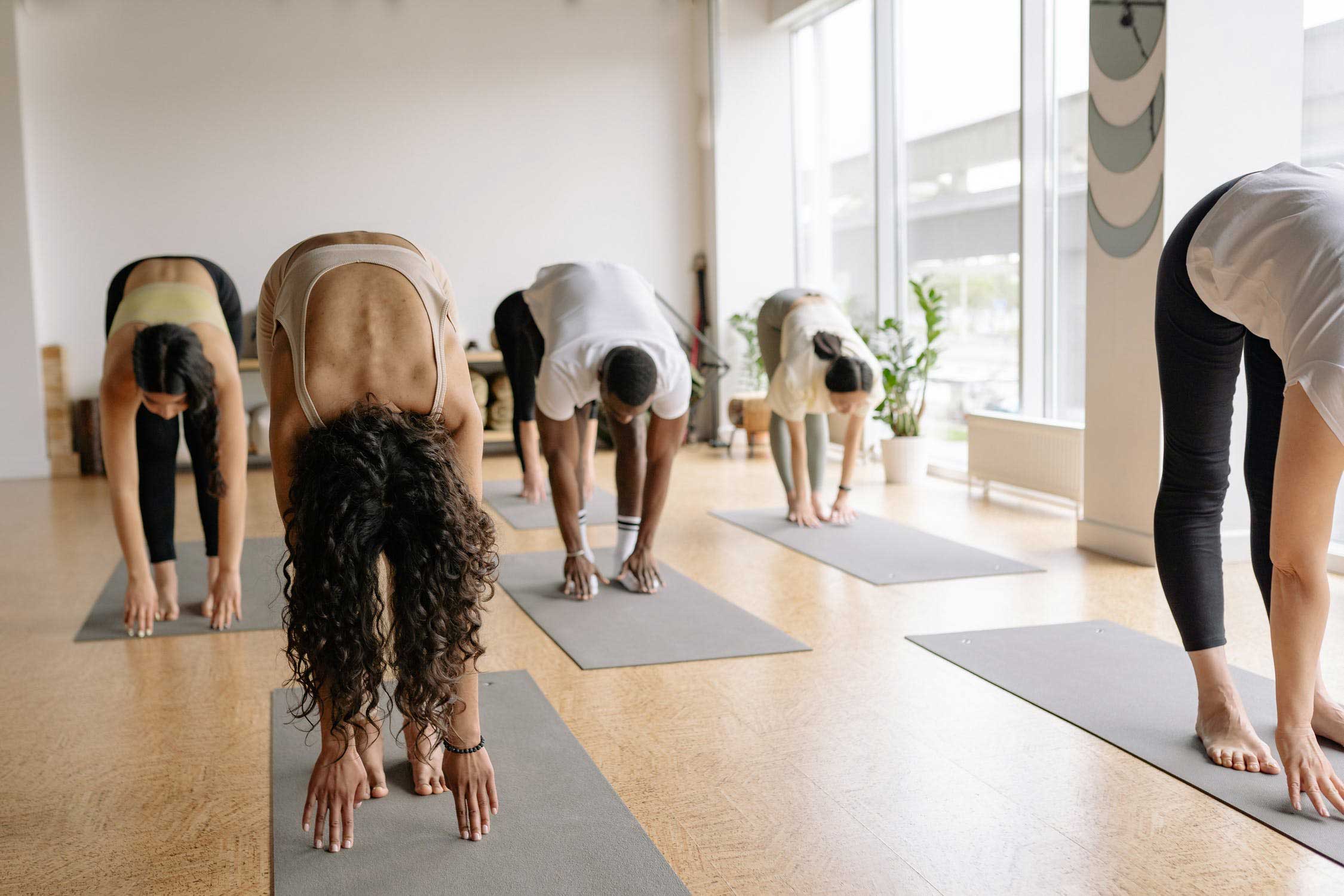 wellness-program